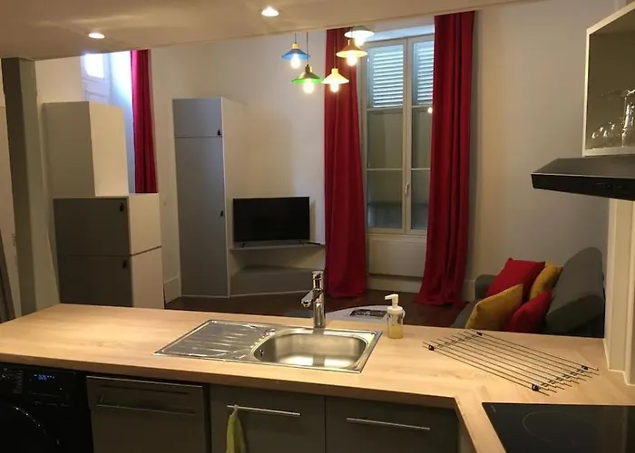 Hyper Centre Orleans : Magnifique Appartement